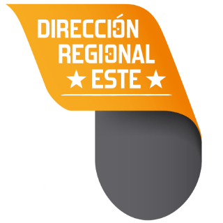 Director Comercial y Zona Este